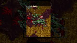 TIBIA / DOBLE ECHO RAID "TEST SERVER"