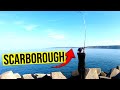 I went sea fishing in scarborough