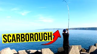 I WENT SEA FISHING IN SCARBOROUGH