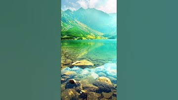 سورة الصافات بصوت القارئ عمار الصخبوري