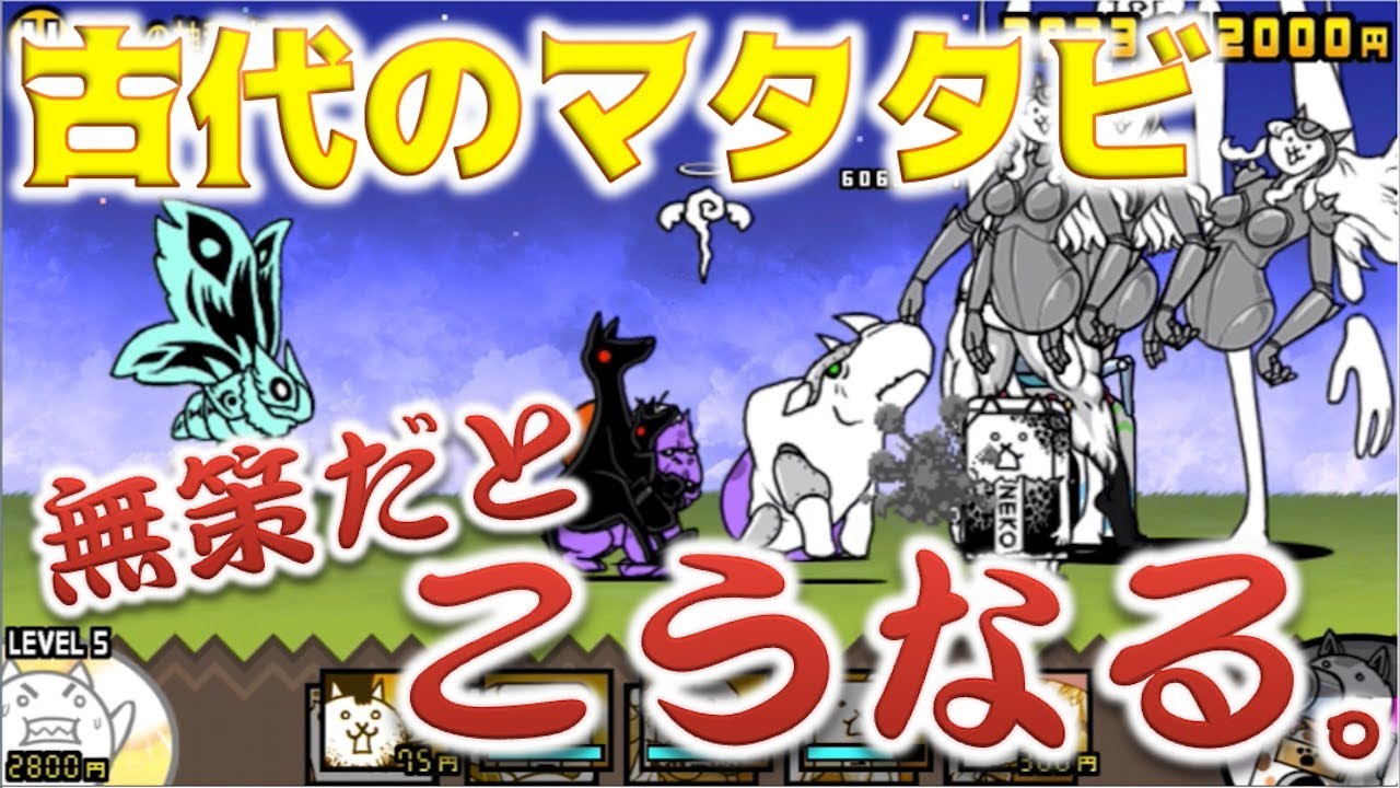 古代 マタタビ 優先