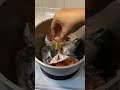 Fish head soup, delicious! #food #likeandsubscribe #fish