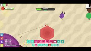Super Beetle - Florr.io screenshot 5
