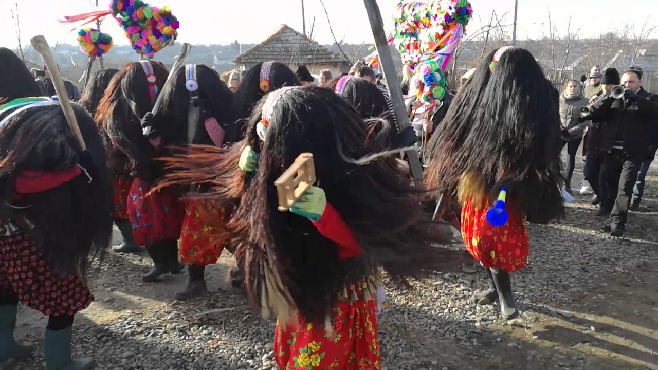 Mascatii belcesti 2017 #2