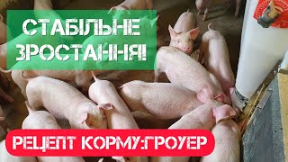 Рецепт комбікорму для поросят. Гровер для поросят. Гроуер. Другий крок.