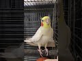 誘ったらやってくれました