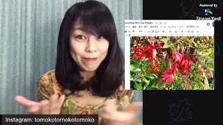 Useful Japanese expressions from Maggie sensei!
