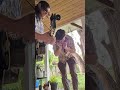 Live highlight