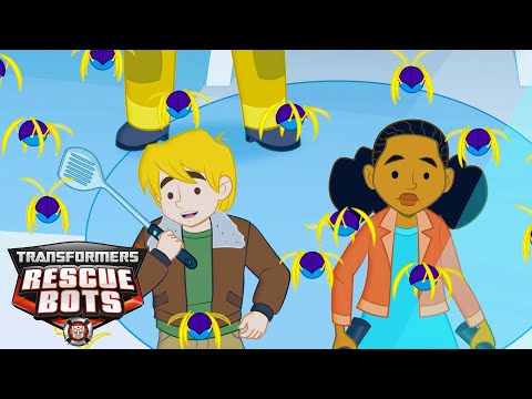 Robot Bees Transformers Rescue Bots Season 1 E20 FULL EPISODE 