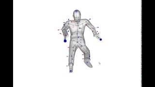 Inverse Kinematics Using Generated Skeleton