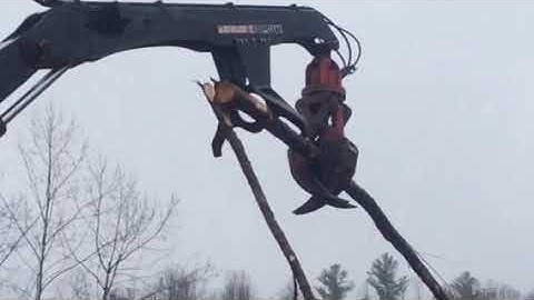 2013 CAT 559B Log Loader / Ashe Equipment