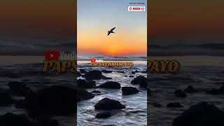 DEWI DARI KAYANGAN - LAGU JOGET DANGDUT KEYBOARD TERBARU 🔥🍂