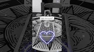 #tarot #lectura #lecturaadistancia #oraculo #guia #tarotearte #vcp