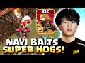 NAVI except EVERY BASE is BAITED for SUPER HOGS! Can they be STOPPED?! Clash of Clans
