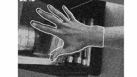 Prior Knowledge, Level Set Representations & Visual Grouping