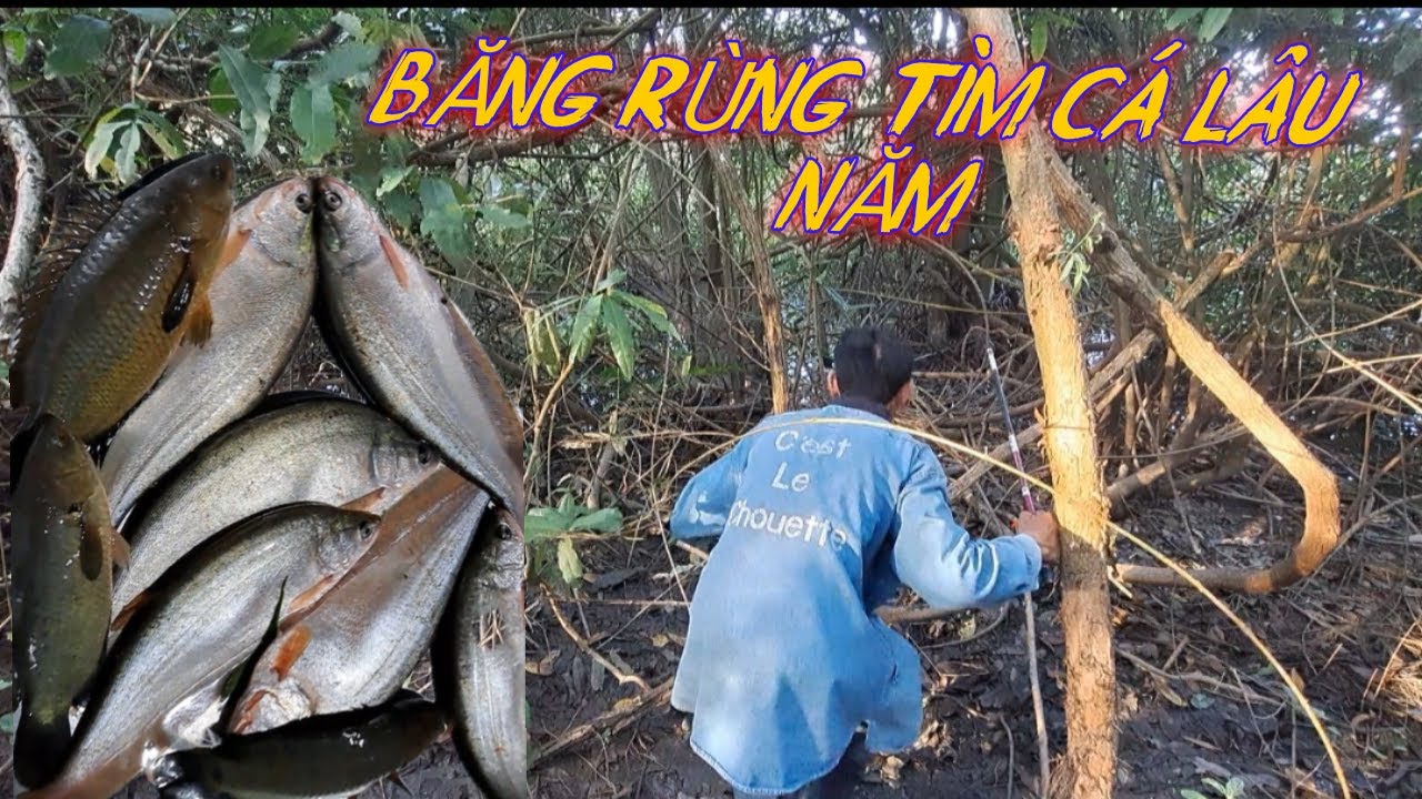 Hành trình băng rừng tìm cá lâu năm ,đụng ngay cá khủng đứt luôn nhợ#câu cá hóc môn