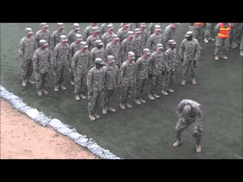 Army Harlem Shake
