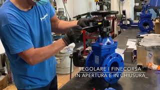 Montaggio indicatore visivo con finecorsa sulle valvole a saracinesca a cuneo gommato serie 20.900 screenshot 4