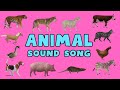 Animal Sounds Song | Best Animal Sounds Song | Baby Song | Kids Song