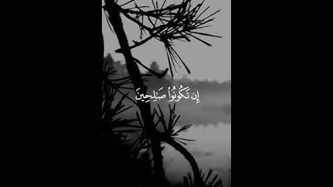 ربكم أعلم بما في نفوسكم إن تكونوا صالحين فإنه كان للأوابين غفورا تلاوة هادئة تريح الاعصاب