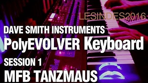 DSI Dave Smith Instruments POLY EVOLVER Keyboard // MFB TANZMAUS // PolyEvolver // part 1