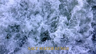Salt Water Lungs (Official Lyric Video)