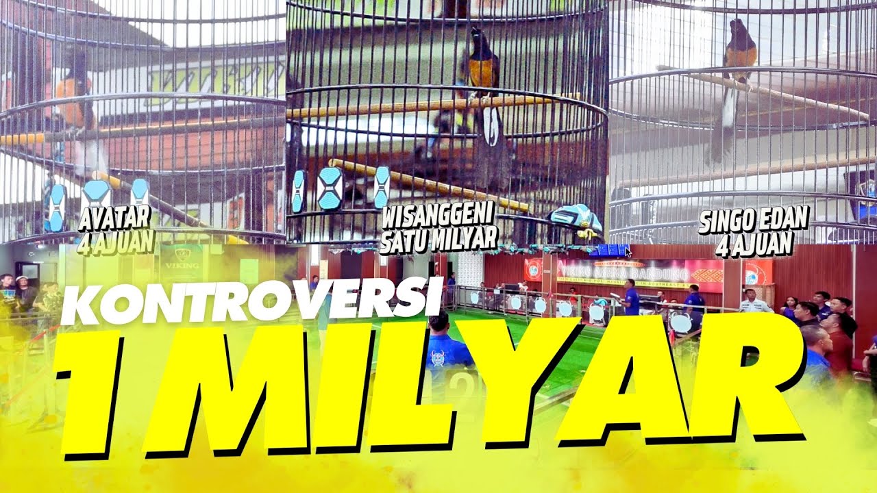 KONTROVERSI SATU MILYAR‼️Duel MURAI AVATAR, WISANGGENI dan SINGO EDAN #andribolang #ndarboygenk