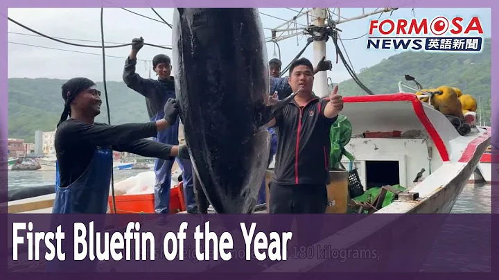 32-year-old fisherman snags Taiwan’s first bluefin tuna of the year｜Taiwan News - DayDayNews