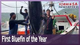 32-year-old fisherman snags Taiwan’s first bluefin tuna of the year｜Taiwan News