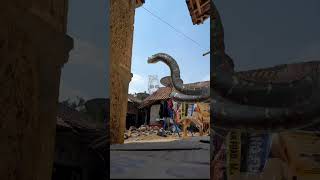 ANACONDA SERAM BANGET + POCONG