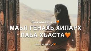 Лууш Яц Хьоьх Цкъа А Къаста❤️