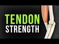 How To Really Strengthen Your Tendons The 70 Rule 