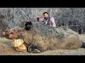 The beast epic huge strong boar hunts breathtaking action scenes hunting hog