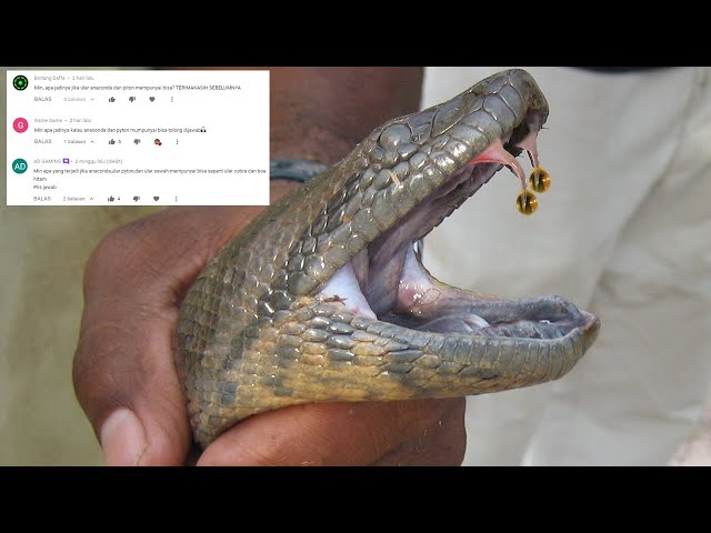 Vika Spiridovich bilan jinsiy aloqa Akhtubinsk porno rasmlar