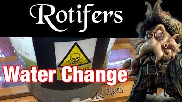 Reef Aquarium - eaReef Pro 900 - Episode 76 - Rotifer Water Change