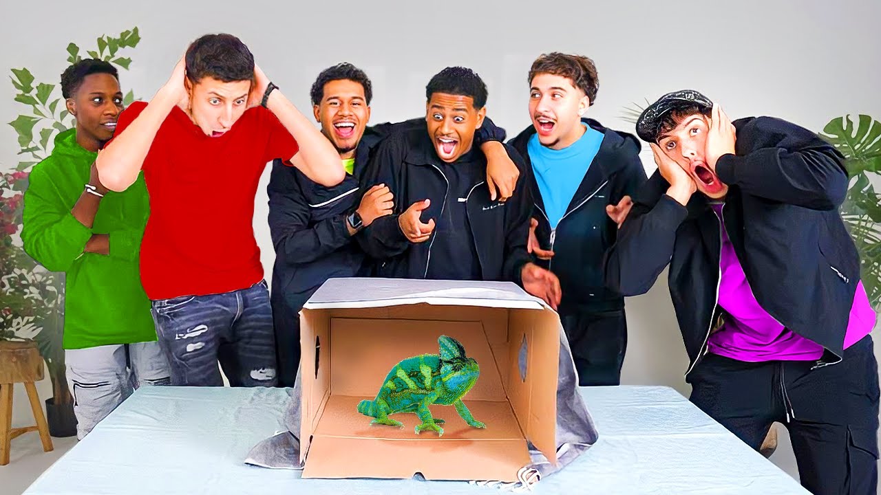 Wat Zit Er In De Box?🦎Met Wildebras *LEVENDE DIEREN*