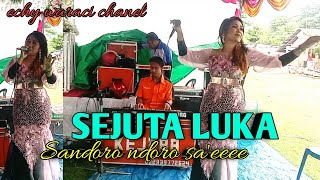 caru ipi,SEJUTA LUKA Rita sugiarto-cover-Echy waraci-