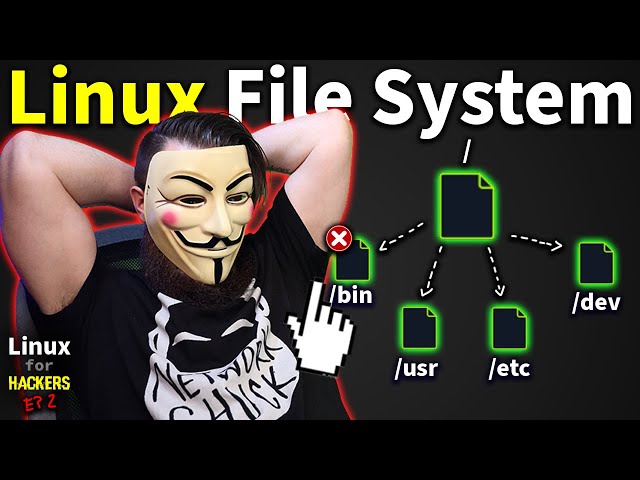 the Linux File System explained in 1,233 seconds // Linux for Hackers // EP 2 class=