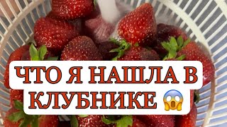 Что я нашла в клубнике | Испания | Лайфхак | Lifehack