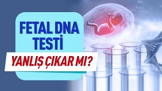 Fetal DNA Testi Nedir? Fetal DNA Testi Nasıl Yapılır? Fetal DNA Testi Yanlış Çıkar mı?