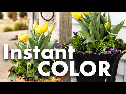 Planting Spring Flower Pots 🌼🌷 || Wyse Guide