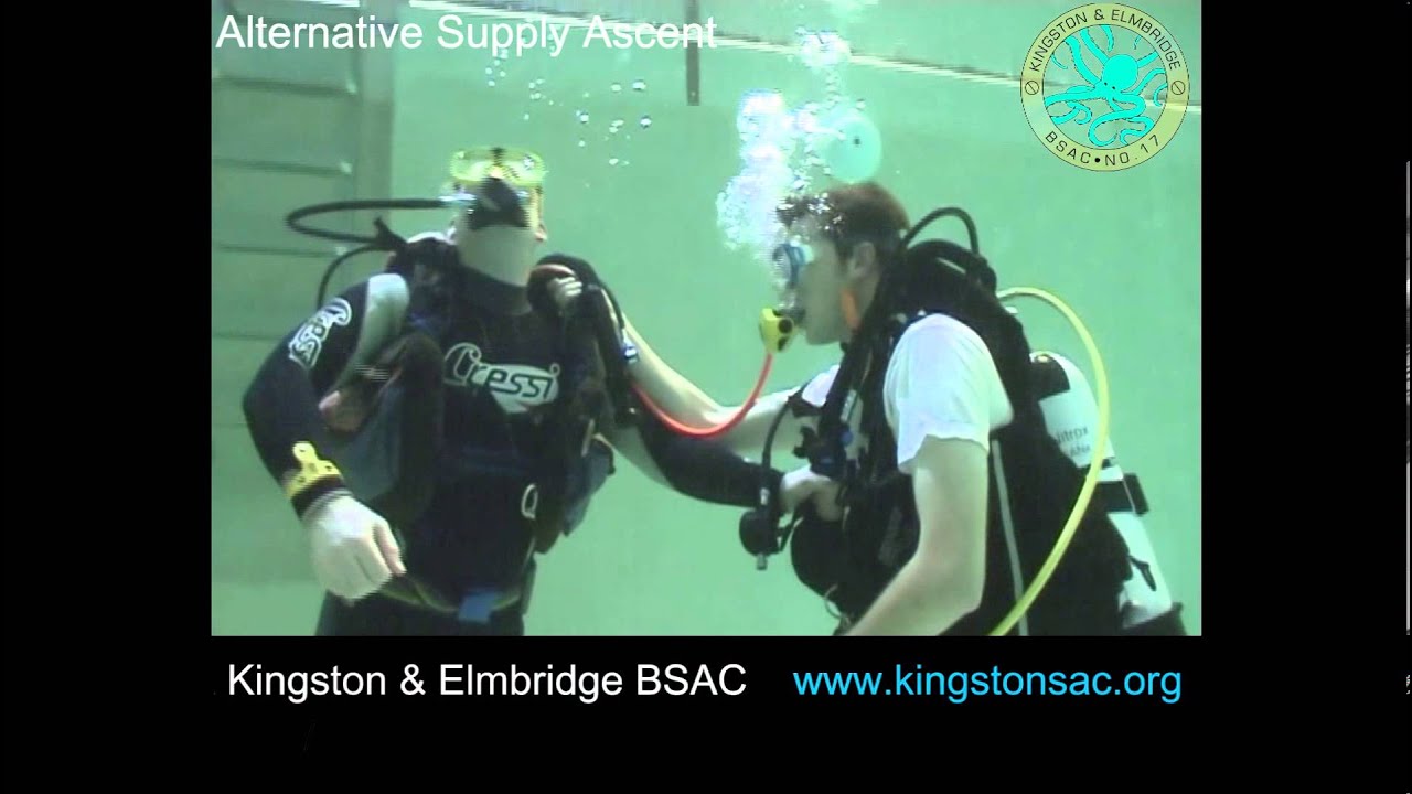 Diving Demonstration Alternative Supply Ascent YouTube