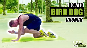 Thumbnail of How To Do A BIRD DOG CRUNCH | Exercise Demonstration Video and Guide