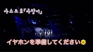 【ASTRO】사랑이 （愛が）ライブ風加工　［日本語字幕］