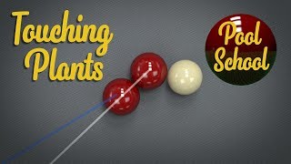 Touching and Offset Plants | Pool School