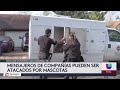 Carteros y repartidores en riesgo: aumentan ataques de perros en Navidad