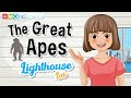 Great Apes and Their Characteristics