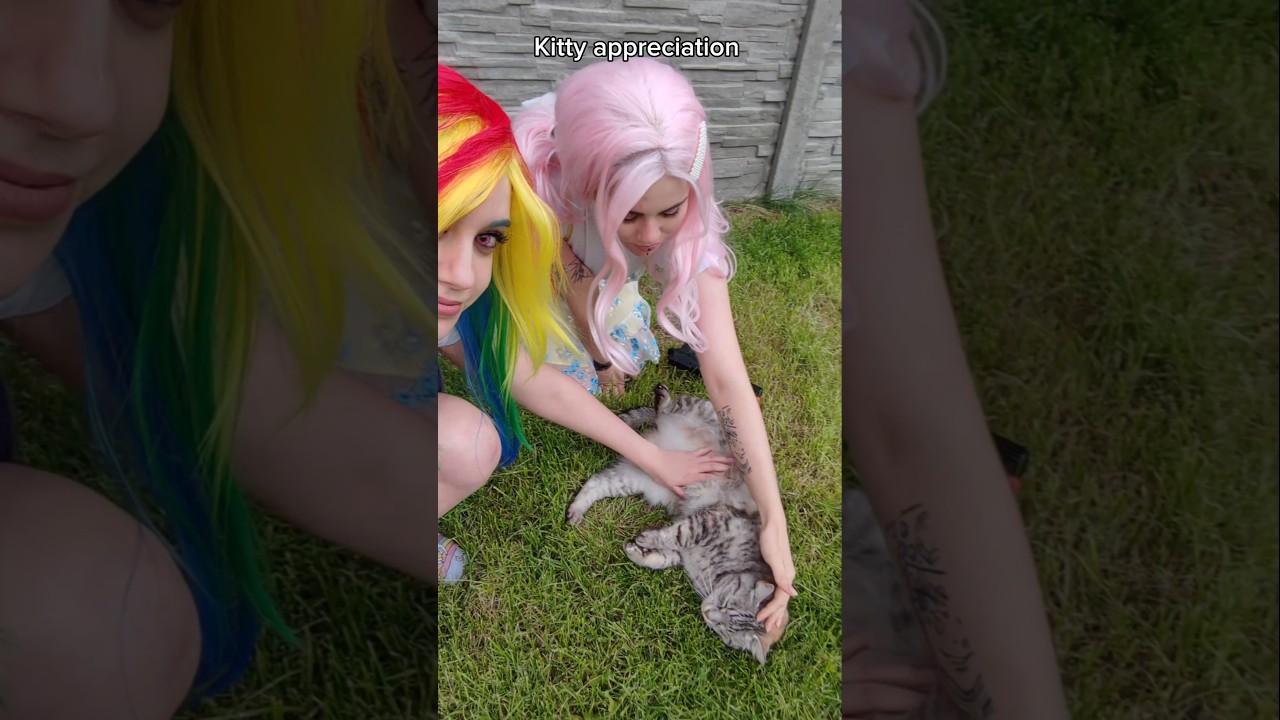 Look at my kitty 🥺 | Rainbow Dash & Fluttershy #cosplay #shorts #mylittlepony