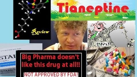 Tianeptine | This Russian Antidepressant Wonder Drug Reverses MDMA Induced Brain Damage [SSRE]