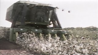 1986 Alabama Cotton Farming  - News Story